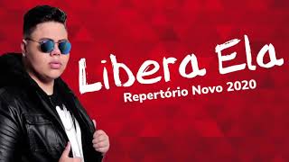 LIBERA ELA  VERSÃO BREGADEIRA  MC ROGERINHO  GRAVE [upl. by Astiram738]