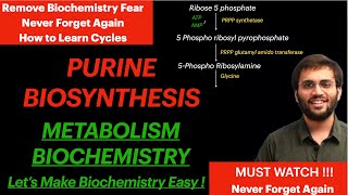 Purine Synthesis  Biochemistry  Purine Metabolism Video [upl. by Lunneta]