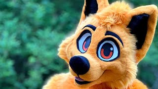 MangoFoxy FURSUIT UNBOXING [upl. by Eicul]