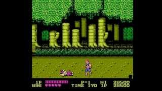 Double Dragon NES Gameplay Demo  NintendoComplete [upl. by West388]