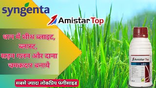 Amistar top fungicide पूरी जानकारी । सबसे बेहतरीन फंगीसाइड धान के लिए \ Syngenta amistar top [upl. by Lyndsay]