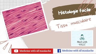 8 Les Tissus Musculaires  Histologie 1ère MED [upl. by Neesay]