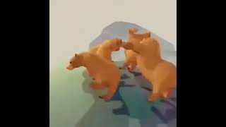 bear dancing meme template  bear dance on long mare  Lashkare shorts [upl. by Treat]