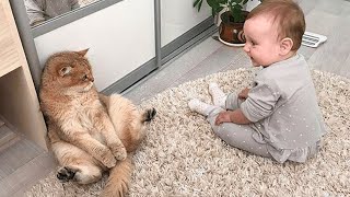 When your cat become a special friend 👶❤️🐱Cute Cats and Human [upl. by Mazur]