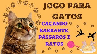 Jogo para GATOS  Caçado Barbante Pássaros e Ratos [upl. by Wylen]