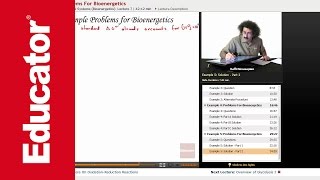 Bioenergetics Example Calculating Delta G  Biochemistry Tutorial [upl. by Niklaus860]