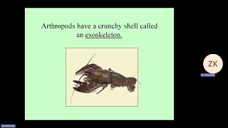 Biology 1ST YearChapter10Topic PHYLUM OF arthropods By ProfZia ullah khan uniqueLda [upl. by Carmita]