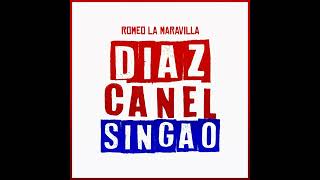 Diaz Canel Singao [upl. by Ardnuaed]