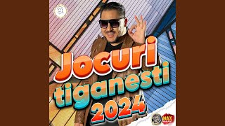 Jocuri tiganesti 2024 [upl. by Bagger]