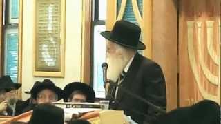 YISROEL MOSHE REISMAN AquotH LEVAYA [upl. by Musette611]