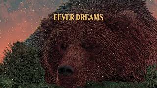 Villagers  Fever Dreams Official Audio [upl. by Ennaoj]