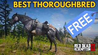 Get the best Thoroughbred FOR FREE  Red Dead Redemption 2 [upl. by Adyela]