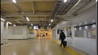 武蔵小杉駅 駅構内の様子 2024年1月 [upl. by Hahcim]