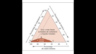 CIRUGÍA La bilis litogenica en la litiasis vesicular se forma por [upl. by Sitof]