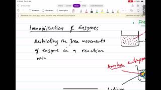 Immobilisation of Enzymes [upl. by Luce]