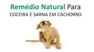 Como CURAR Coceira em CACHORROS Com Remédio CASEIRO [upl. by Amat]