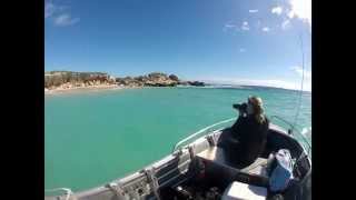 Swimming with Sea Lions Jurien Bay Western Australia GoPro Diving [upl. by Divadnahtanoj]