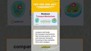 60 Seconds Tips for Mastering Cellular Membrane Concepts Effectively cell concept tips [upl. by Ahtiekahs595]