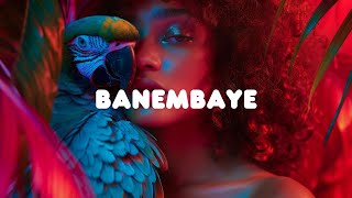 Amapiano x Lojay type beat  banembaye [upl. by Zink]