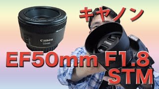 新発売・キヤノン EF50mm F18STMの話 vs 神レンズ・へた写真付き [upl. by Edia]