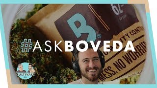 How To Rejuvenate Dried Out Cannabis  AskBoveda [upl. by Aicarg]