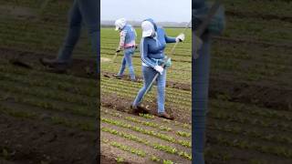 Que habilidad agriculturetechnology farming women skills [upl. by Atillertse167]