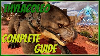 Thylacoleo Complete Guide  Ark Survival Ascended [upl. by Squier65]