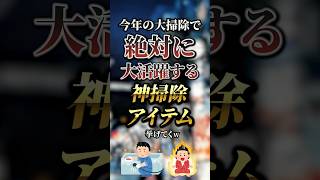 今年の大掃除で絶対に大活躍する神掃除アイテム7選 おすすめ 保存 [upl. by Elleral720]