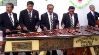 Marimba de la Municipalidad de Guatemala en el tiple mi amigo Noe Campos [upl. by Jocelyn461]