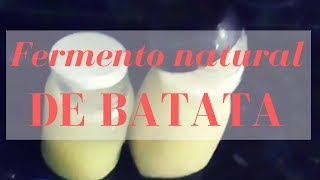 COMO FAZER FERMENTO NATURAL DE BATATA [upl. by Annahaj880]