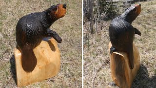 Chainsaw carved beaver 28 [upl. by Jocko629]