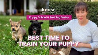 Ep 1 When should you start training your dog  Puppy School amp Training Series [upl. by Yznil]