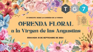 🔴 TG7 DIRECTO 🌺 Ofrenda Floral Virgen de las Angustias  Granada 15 de septiembre 2024 🌸 [upl. by Lleira]