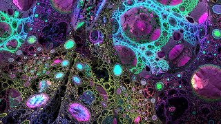 2024 Deep Psychedelic Exploration  MindMelting Fractal Visuals for Spiritual Connection [upl. by Singer]