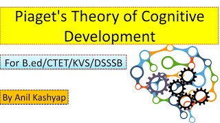 Piagets Theory of Cognitive Development CTETDSSSBKVSBed by Anil Kashyap [upl. by Ennayk719]