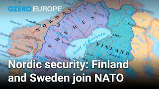 Why Sweden and Finland joined NATO  Carl Bildt  Europe In 60 [upl. by Nylidam774]