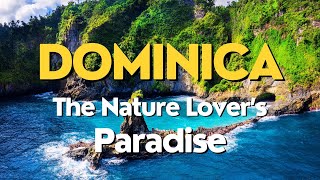 Dominica Travel 2023 🐠 Most Beautiful Places to Visit Majestic Waterfalls Hiking and Diving Spots [upl. by Reagan263]