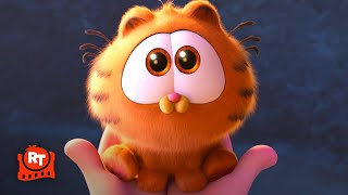 The Garfield Movie 2024  Cute Baby Garfield [upl. by Nesrac]