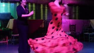 Bailaora flamenca Ana Oropesa  Tablao Flamenco El Palacio Andaluz [upl. by Lenroc837]