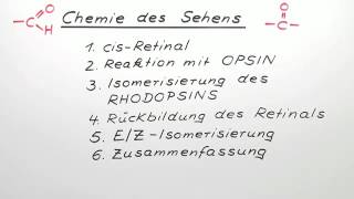 Chemie des Sehens  Chemie  Organische Chemie [upl. by Acinnod]