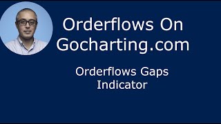 Gocharting Orderflows Gaps Orderflows Trader [upl. by Pamela932]