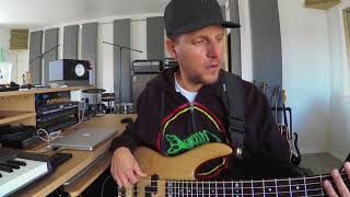 nordstrand bass pickup nj4v nj4vs review [upl. by Crispin445]