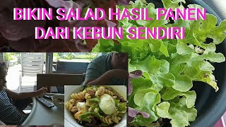 BIKIN SALAD DARI HASIL PANEN DIKEBUN SENDIRI  PANEN SAYURAN ORGANIK DITERAS RUMAH [upl. by Yerkovich]