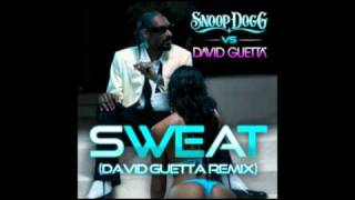 Guetta vs Snoop Dogg  Sweat [upl. by Revert]