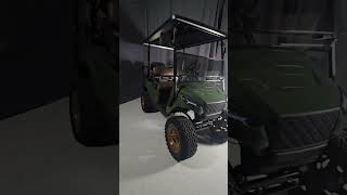 2023 Green Navitas Storm Electric Golf Cart  3036mph Top Speed Brown Seats [upl. by Illac]