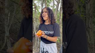 Tomate o manzana 🍎 🤣 humor comedia [upl. by Griffith]