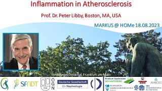 Inflammation in Atherosclerosis  Prof Dr Peter Libby Boston MA [upl. by Anitselec261]