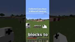 I Collected Evert Block in Minecraft Hardcord cttoAnd Plus [upl. by Web]