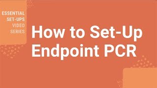 How Do I SetUp Endpoint PCR [upl. by Ahsyia]