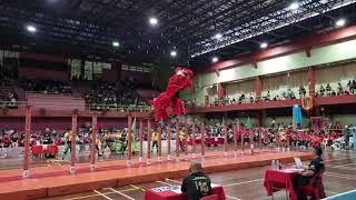 Lion Dance Champiomship 2023 Little Hongkong Sandakan [upl. by Ydiarf]